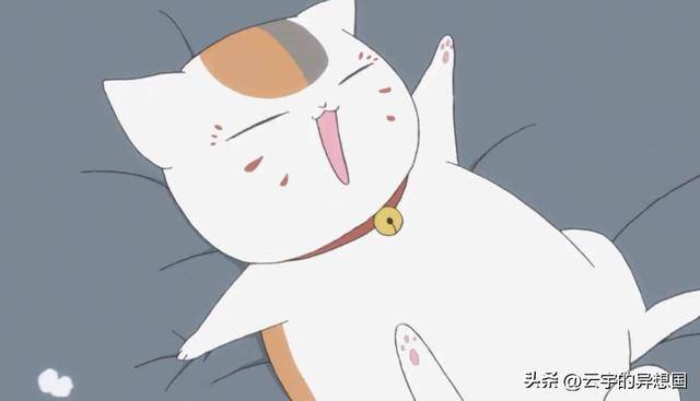 女生一个人在家怎么做（自媒体人的成长规划）