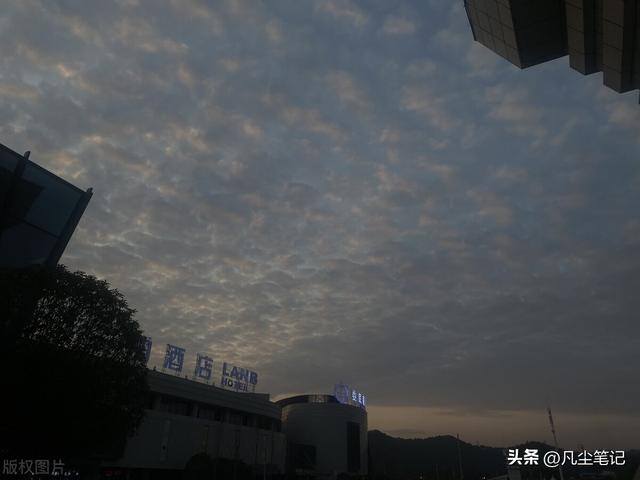 靠口碑做生意的句子（百年的生意，需要百年的用心）