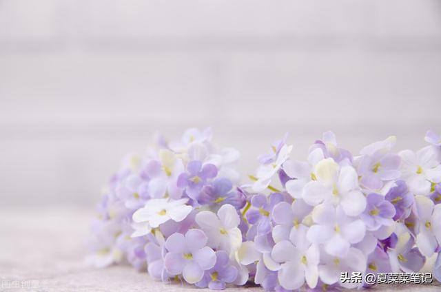 什么副业适合上班族（夏菜菜自媒体创业经验分享）