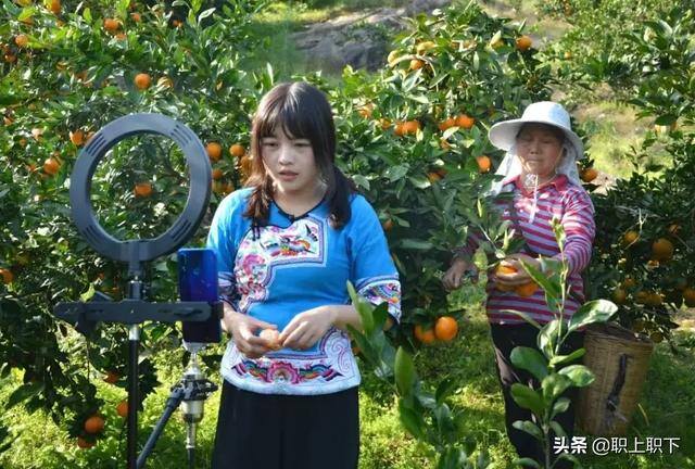 在农村做什么生意最赚钱最长远（工农业“剪刀差倒挂”是如何形成的？）