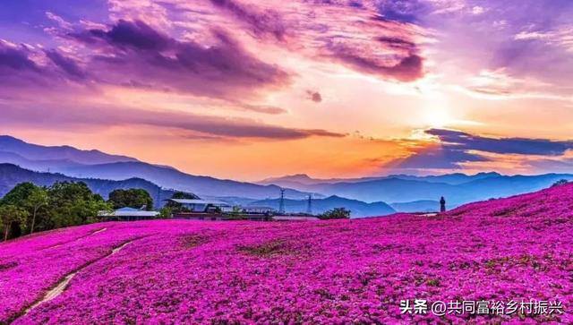 政府扶持的创业项目（乡村振兴，关键看这些）