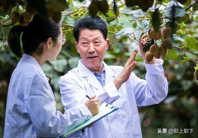 在农村做什么生意最赚钱最长远（工农业“剪刀差倒挂”是如何形成的？）
