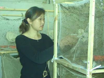 养什么不占地方又挣钱（农家女独辟新路饲养黄鳝养殖，每年获利4万多元）