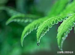 淘金币怎么关闭（淘金币怎么充值？）