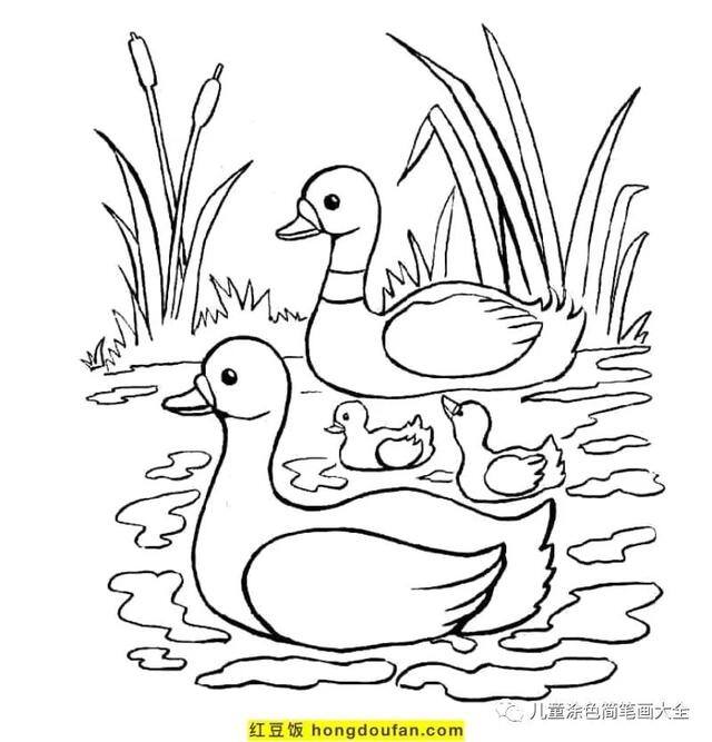 关于夏天的画简单好看（《我的世界》电影海报鸭子着色页）