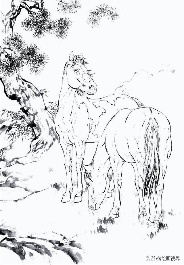 怎么画画既好看又简单（初学者怎么画马的白描线稿）