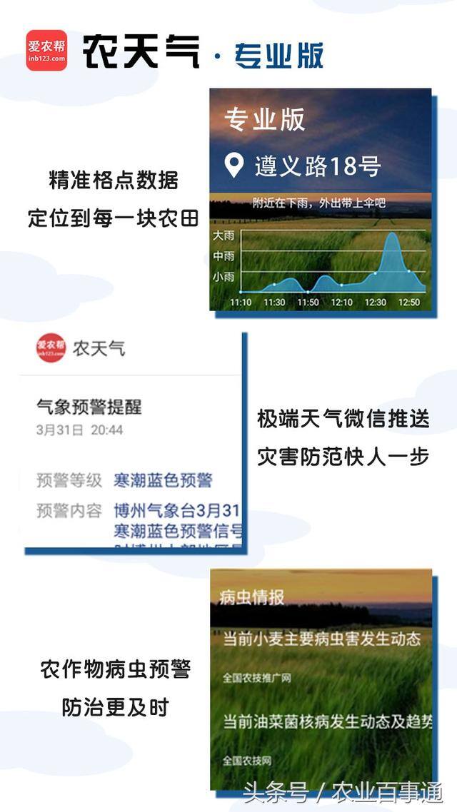 农村种植（农村老一辈流传下来的老话，都是真理，对种地农民来说，太准了！）