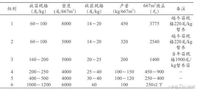 稻田养殖泥鳅（台湾泥鳅养殖技术）