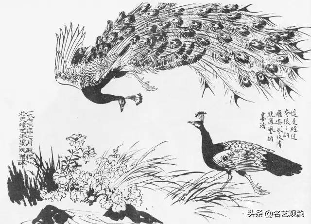 孔雀怎么画简单又漂亮（《花鸟画谱》之孔雀的画法）