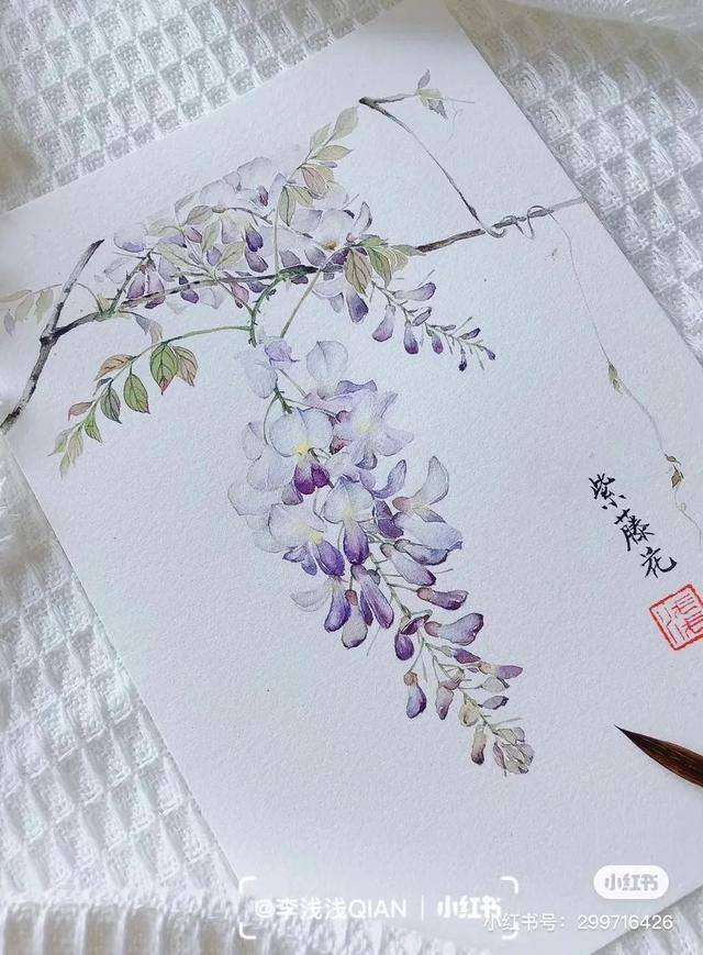 花朵怎么画最漂亮（中国风水彩花卉插画｜李浅浅qian）