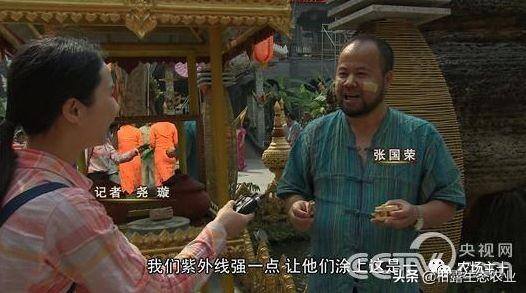 致富经一亩地赚60万（《致富经》的花式取名，巧设悬念，堪称标题党祖师级别）