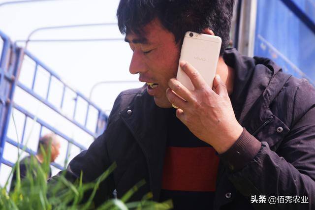 农村小生意（水果经营行业的“不起眼”小生意）