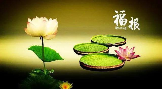准提咒发财的秘法（了凡先生是如何改变自己的）