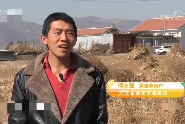 承包1000亩土地种粮食赚钱吗（农村小伙卖黑猪肉，10天卖出20多头猪）