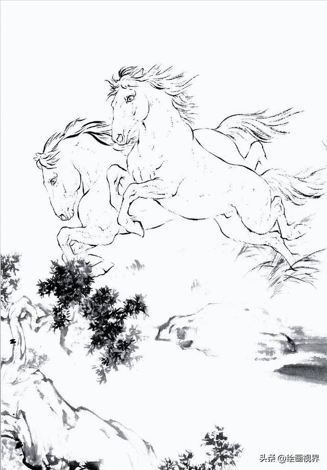 怎么画画既好看又简单（初学者怎么画马的白描线稿）