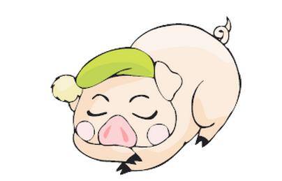 属猴的做什么生意最旺（生肖猪与十二生肖的关系）