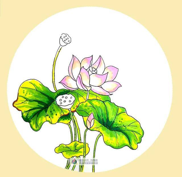 草怎么画简单又漂亮（水彩荷花的创作方法）