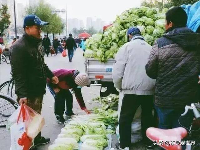 在菜市场做什么生意比较赚钱（蔬菜生意背后的赚钱门道）