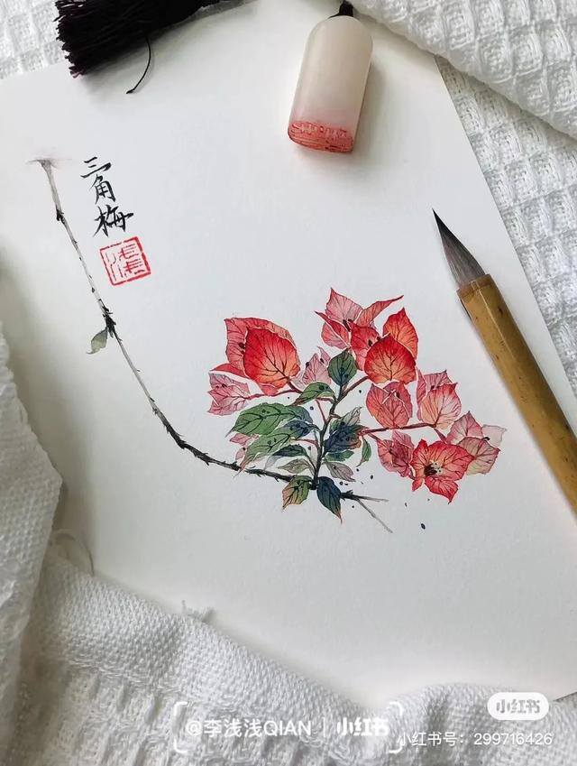 花朵怎么画最漂亮（中国风水彩花卉插画｜李浅浅qian）