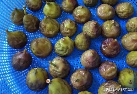 家庭自制无花果干（无花果干怎么做好吃？）