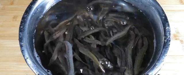 在家养泥鳅应该喂什么（泥鳅这样做太好吃了：鲜香无腥味，营养又简单）