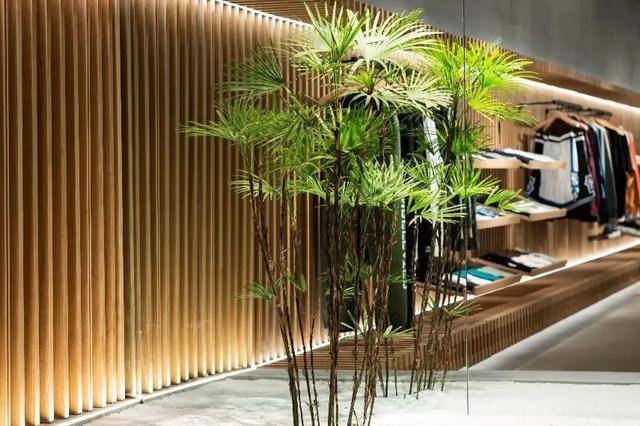 实体店做什么项目好（奈雪生活全国首店集中开业）