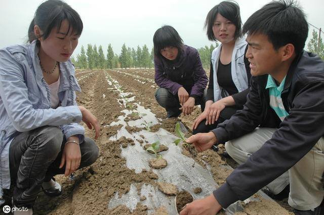农村怎样才能致富（在农村干什么最挣钱？）