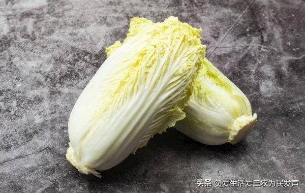 秋季种植什么经济农作物赚钱（秋冬季种植什么蔬菜比较好？）