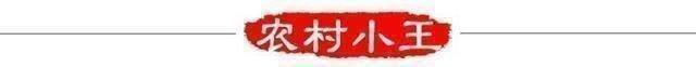 农村开什么厂子有前景（在农村办个秸秆回收处理厂可行吗？）