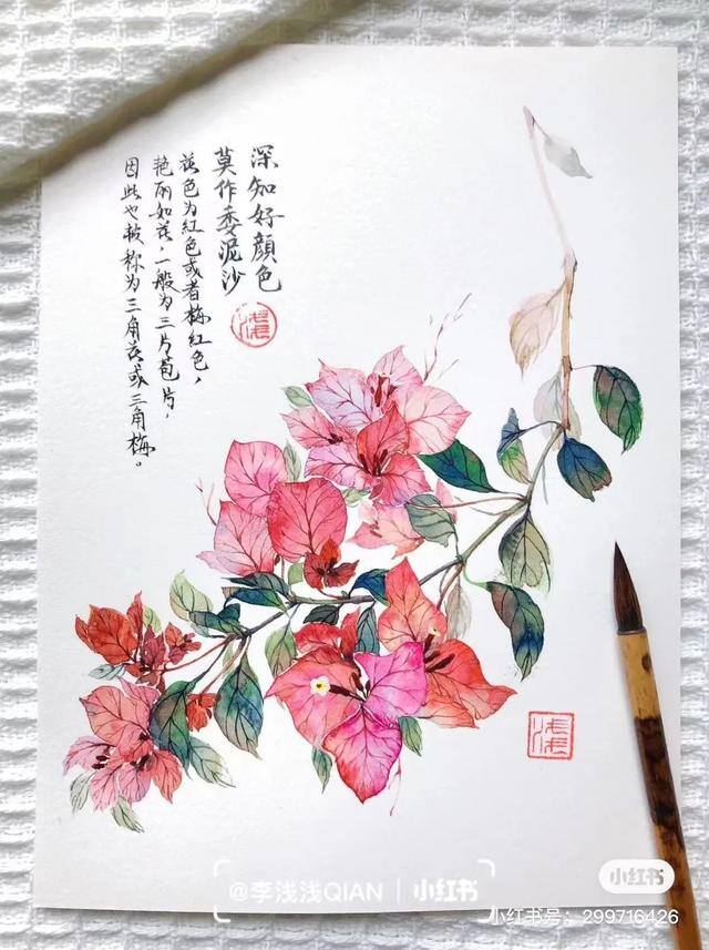 花朵怎么画最漂亮（中国风水彩花卉插画｜李浅浅qian）