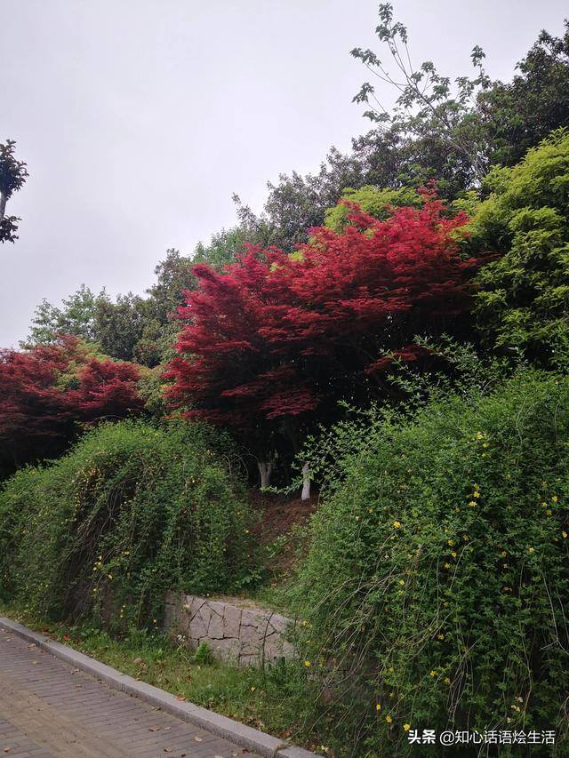 没有学历的宝妈在家怎么赚钱（农村宝妈如何在头条上赚钱？）