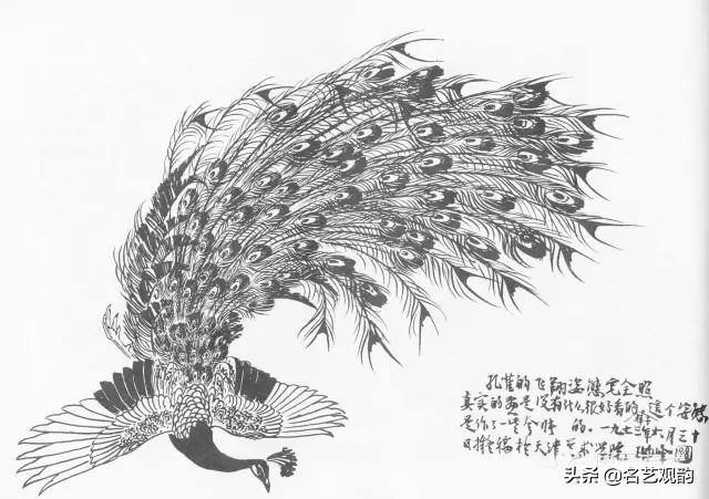 孔雀怎么画简单又漂亮（《花鸟画谱》之孔雀的画法）