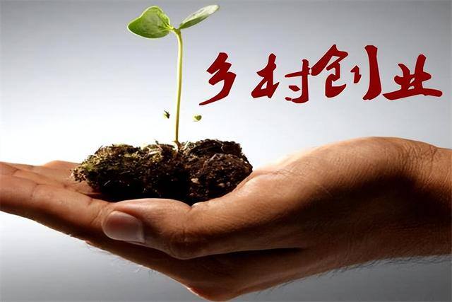 免费农村投资办厂加盟（2021年农村小型加工厂做什么好？这6个项目不愁销路！）