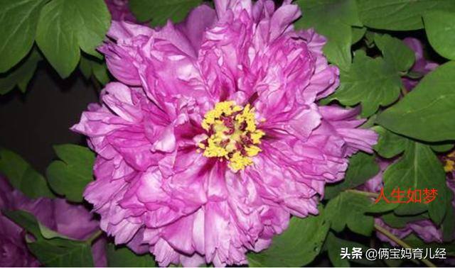 宝妈微信名字简单气质（妈妈给宝宝取名的几个“坑”大众化）