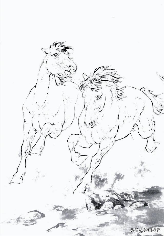 怎么画画既好看又简单（初学者怎么画马的白描线稿）