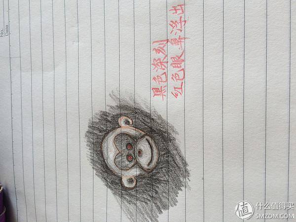 生日礼物怎么做手工（送妹纸特别的生日礼物：用刻刀工梳齿手工打造）