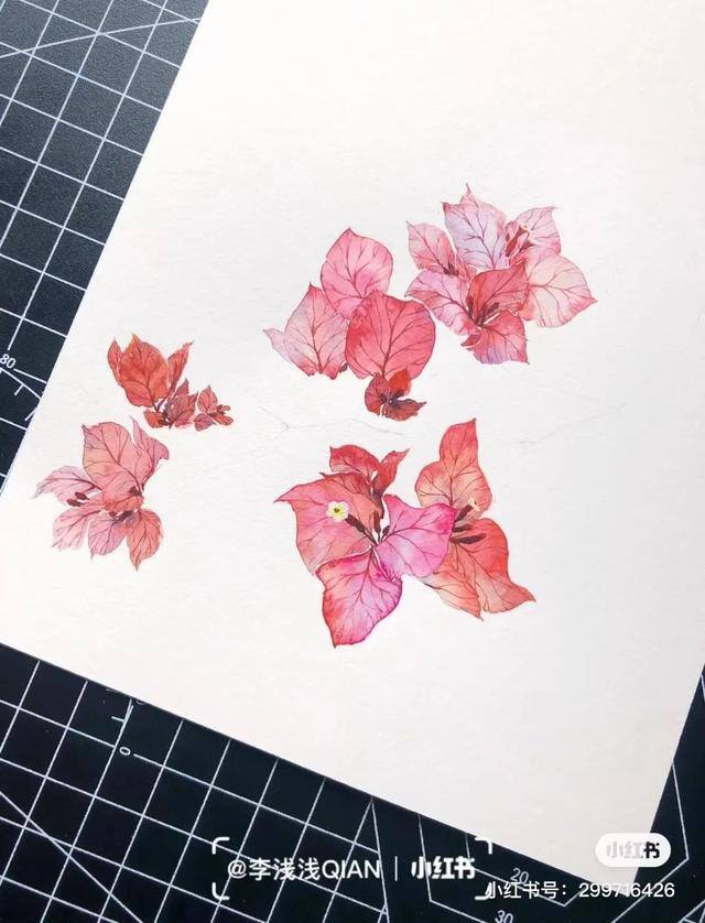 花朵怎么画最漂亮（中国风水彩花卉插画｜李浅浅qian）