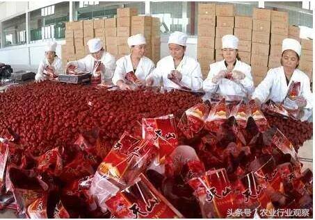 加工好项目（2017年农产品加工项目推荐）