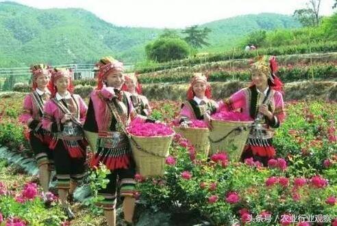 加工好项目（2017年农产品加工项目推荐）