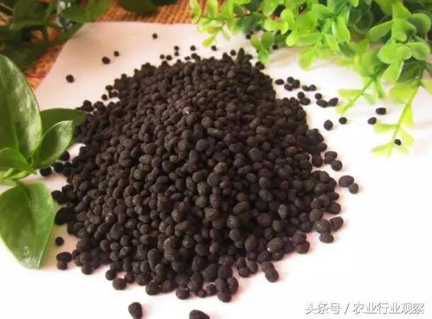 加工好项目（2017年农产品加工项目推荐）