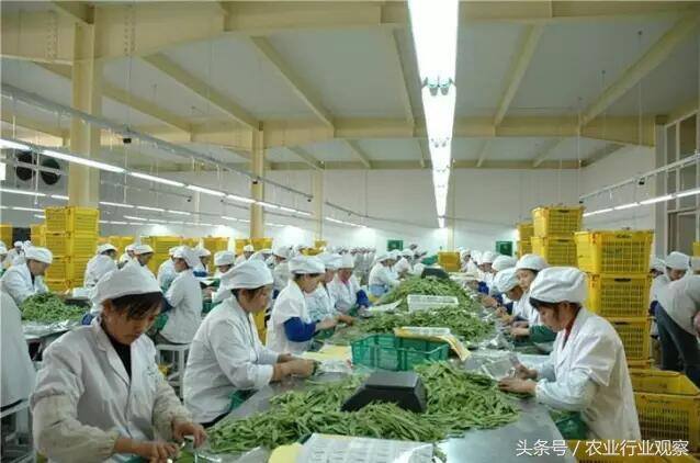 加工好项目（2017年农产品加工项目推荐）