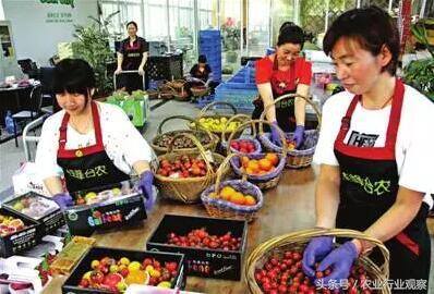加工好项目（2017年农产品加工项目推荐）