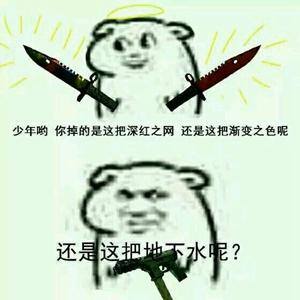 csgo怎么赚钱（csgo玩家都经历了什么？）