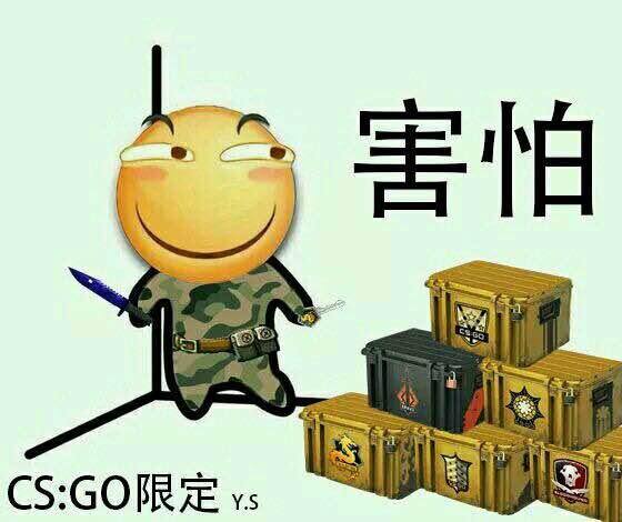 csgo怎么赚钱（csgo玩家都经历了什么？）