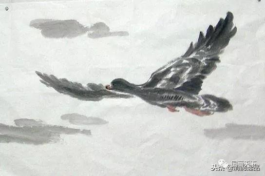大雁怎么画简单又好看（飞鸿的各种姿态）