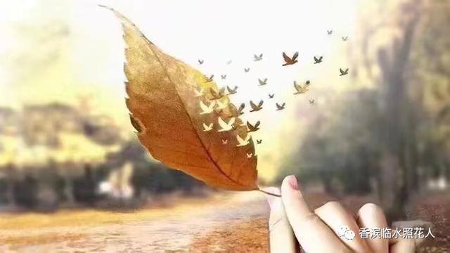 三年级绘画作品（思维导图画作文——这儿真美（二十五））