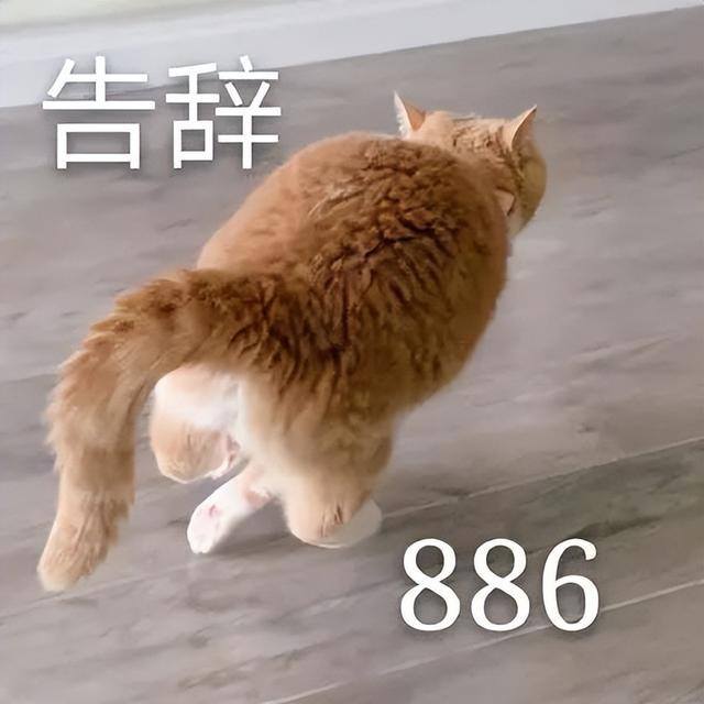 十台手机刷app一天赚四百（留学生也爱自媒体！）