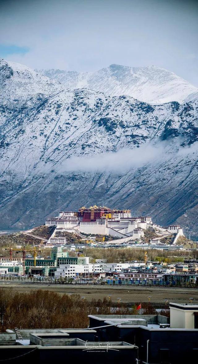 努力赚钱的图片（一个人漫山遍野是为了什么？）