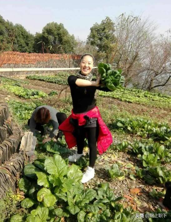在农村做什么生意最赚钱最长远（工农业“剪刀差倒挂”是如何形成的？）