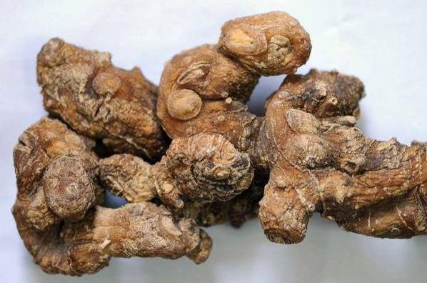 家庭自制黄精的方法（酒黄精的炮制工艺）